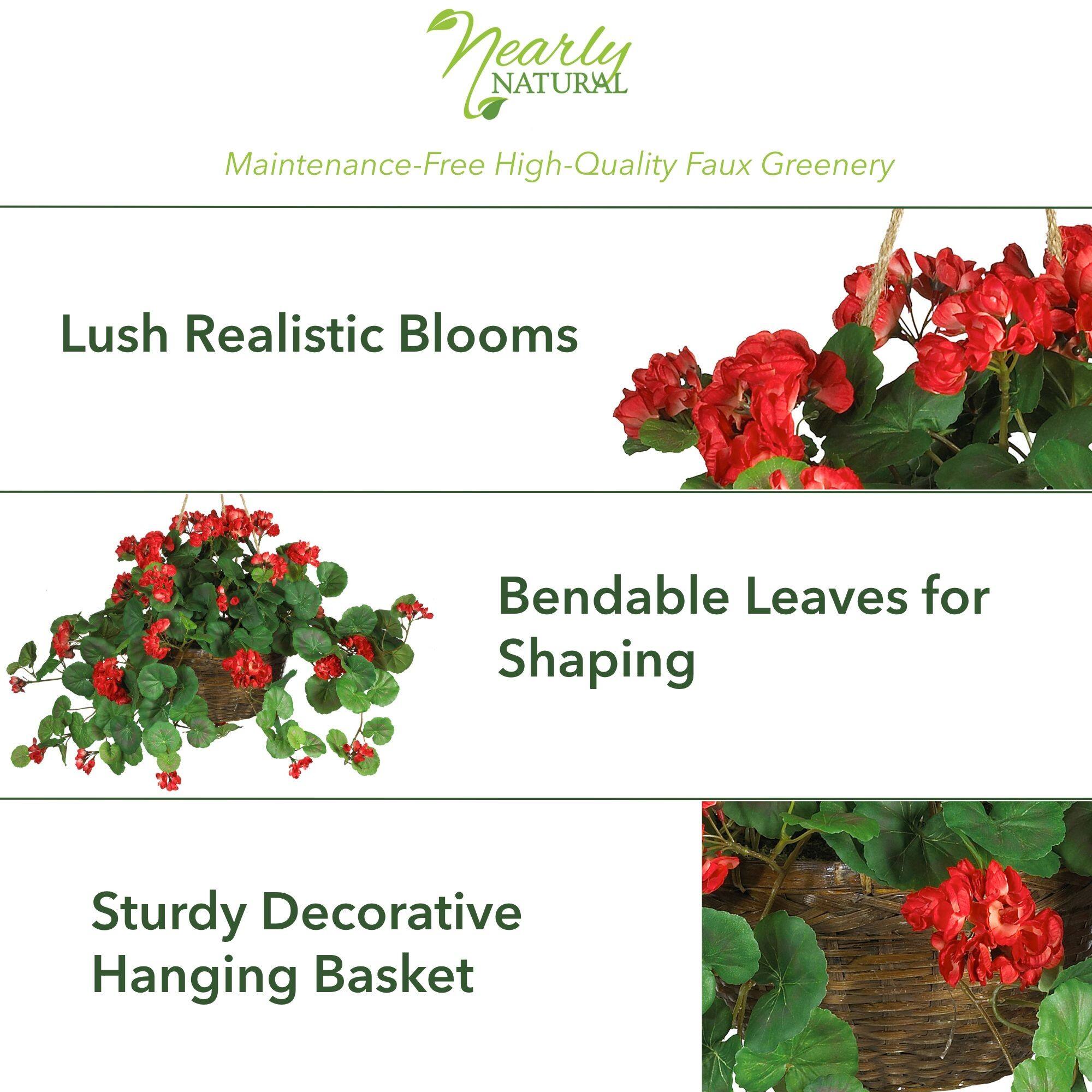 24" Red Geranium in Hanging Basket
